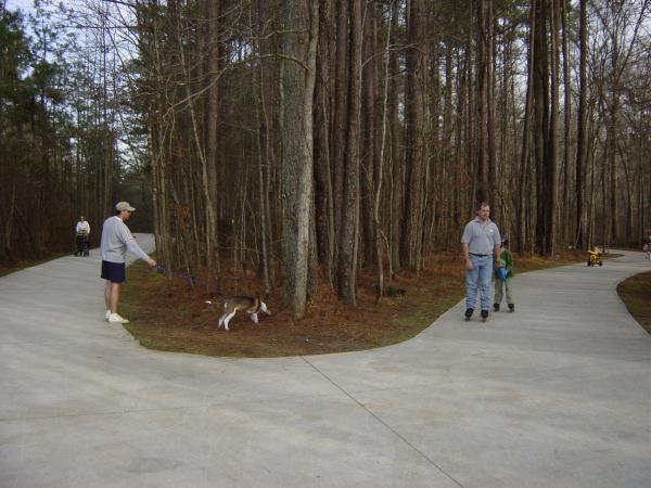 Big Creek Greenway #7