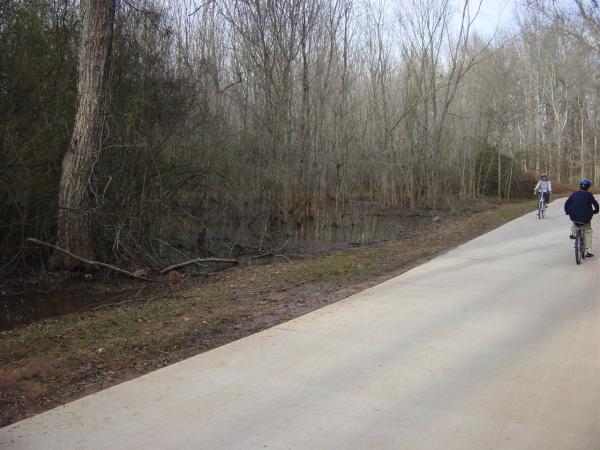 Big Creek Greenway #11